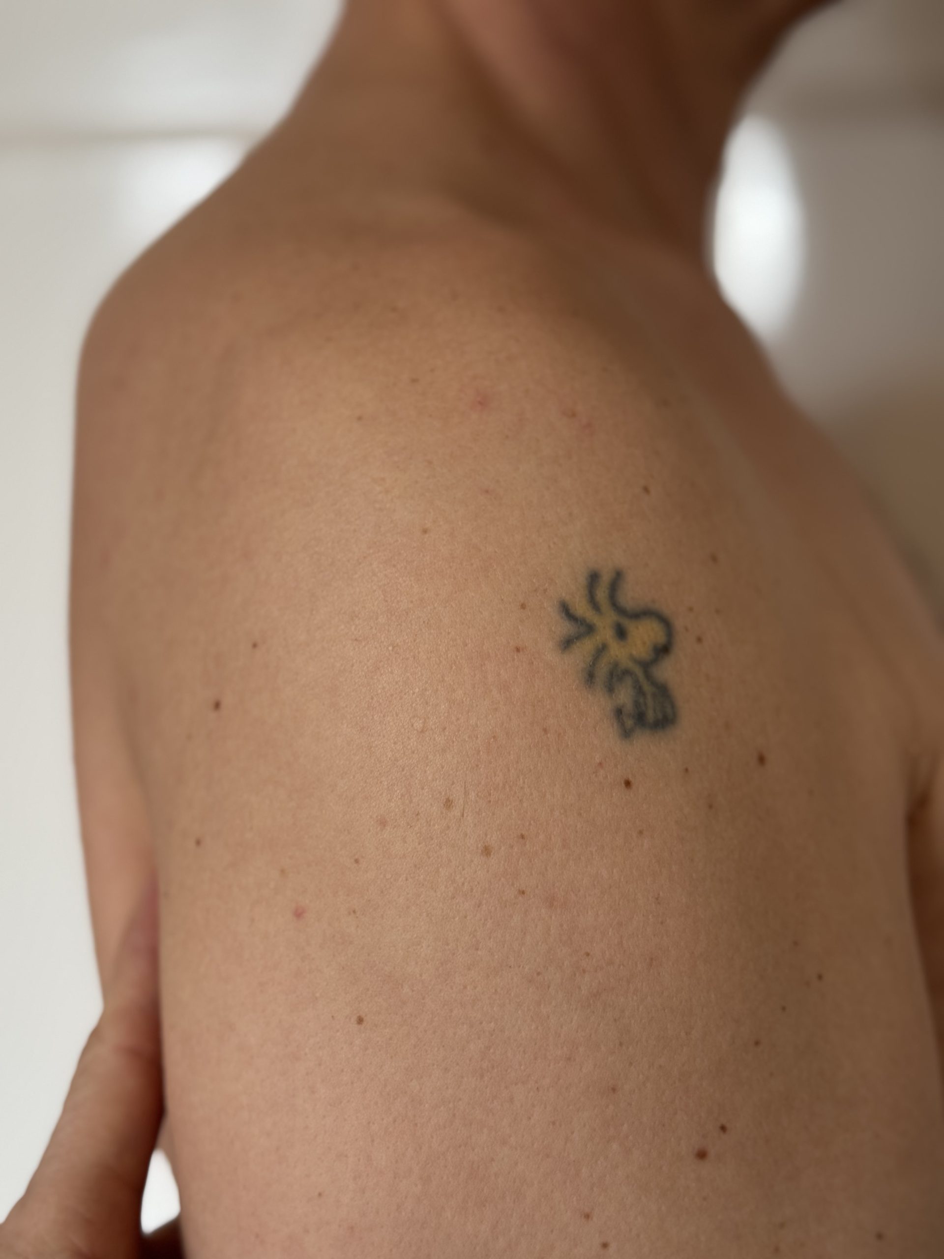 Anatomie der Schulter, Sa. 15.02.2025, 15.00 - 18.00 Uhr mit Miriam Datt und Vanessa Raschke