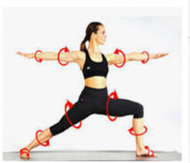 Grundlagen der Bewegungslehre nach spiraldynamischen Prinzipien